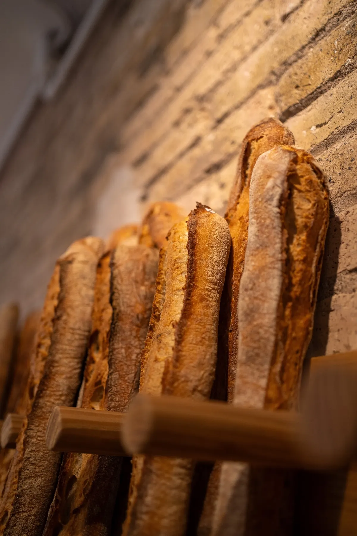 Baguets de crosta daurada exposades al forn